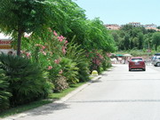 Njivice